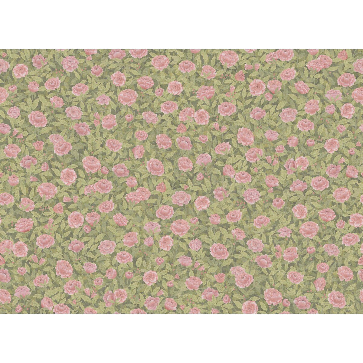 COLE & SON F121/2009.CS.0 IDYLL ROSES LINEN BLUSH Fabric - Eade's Wallpaper