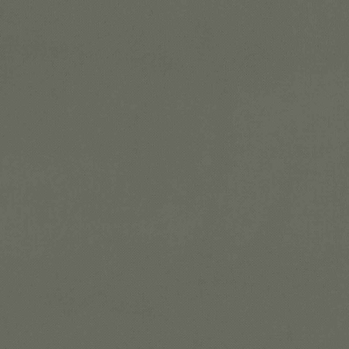 CLARKE AND CLARKE F1231/03.CAC.0 RENZO CHARCOAL Fabric - Eade's Wallpaper