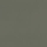 CLARKE AND CLARKE F1231/03.CAC.0 RENZO CHARCOAL Fabric - Eade's Wallpaper