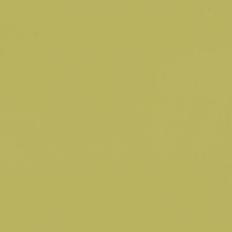 CLARKE AND CLARKE F1231/04.CAC.0 RENZO CITRUS Fabric - Eade's Wallpaper