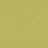 CLARKE AND CLARKE F1231/04.CAC.0 RENZO CITRUS Fabric - Eade's Wallpaper