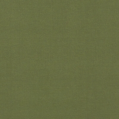 CLARKE AND CLARKE F1231/11.CAC.0 RENZO FOREST Fabric - Eade's Wallpaper