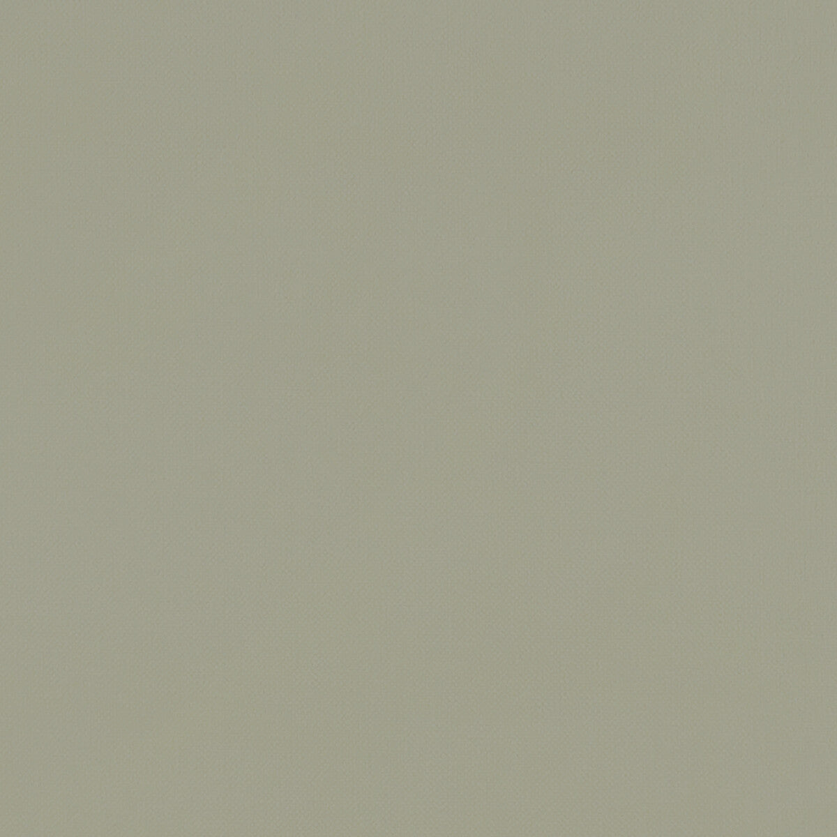 CLARKE AND CLARKE F1231/22.CAC.0 RENZO SAGE Fabric - Eade's Wallpaper