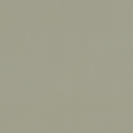 CLARKE AND CLARKE F1231/22.CAC.0 RENZO SAGE Fabric - Eade's Wallpaper