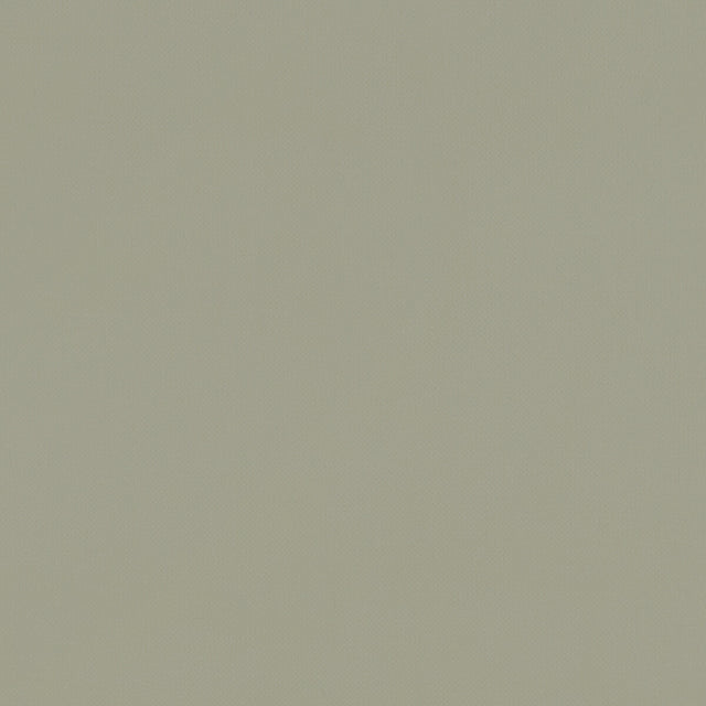 CLARKE AND CLARKE F1231/22.CAC.0 RENZO SAGE Fabric - Eade's Wallpaper