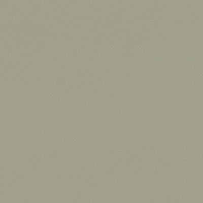 CLARKE AND CLARKE F1231/22.CAC.0 RENZO SAGE Fabric - Eade's Wallpaper