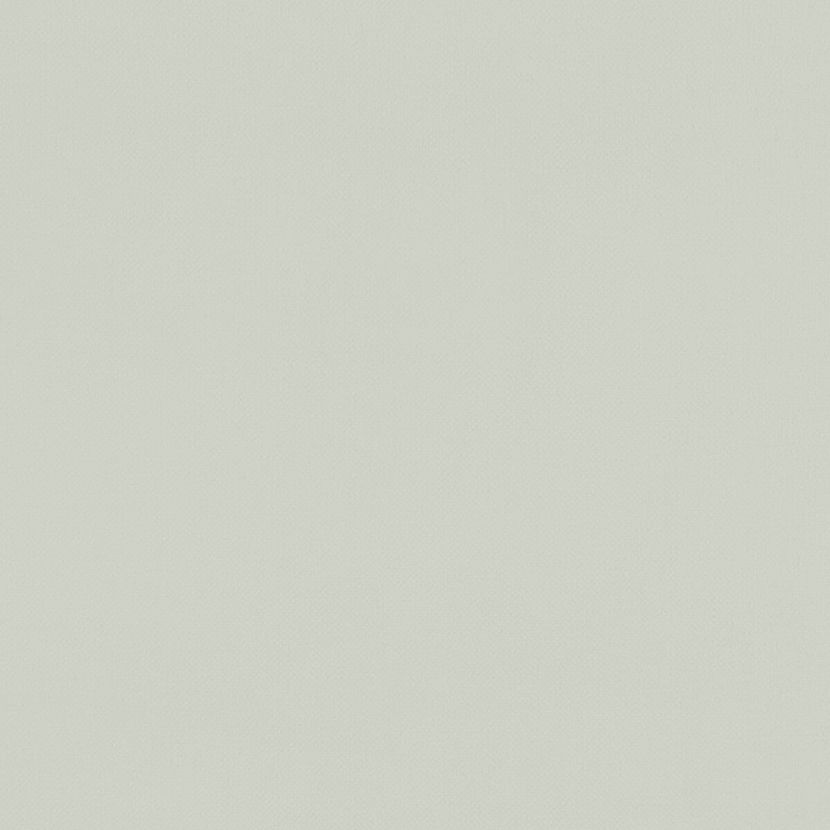 CLARKE AND CLARKE F1231/23.CAC.0 RENZO SILVER Fabric - Eade's Wallpaper