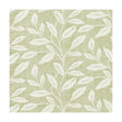 CLARKE AND CLARKE F1236/04.CAC.0 TERRACE TRAIL SAGE Fabric - Eade's Wallpaper