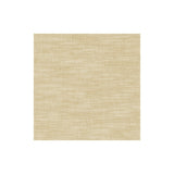 CLARKE AND CLARKE F1239/01.CAC.0 AMALFI ALABASTER Fabric - Eade's Wallpaper