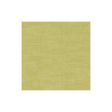CLARKE AND CLARKE F1239/11.CAC.0 AMALFI CITRON Fabric - Eade's Wallpaper