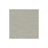 CLARKE AND CLARKE F1239/18.CAC.0 AMALFI DOVE Fabric - Eade's Wallpaper