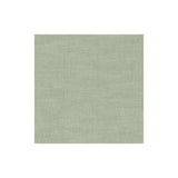 CLARKE AND CLARKE F1239/19.CAC.0 AMALFI DUCKEGG Fabric - Eade's Wallpaper