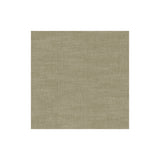 CLARKE AND CLARKE F1239/35.CAC.0 AMALFI LATTE Fabric - Eade's Wallpaper