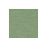 CLARKE AND CLARKE F1239/46.CAC.0 AMALFI PALM Fabric - Eade's Wallpaper