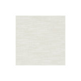 CLARKE AND CLARKE F1239/50.CAC.0 AMALFI POLAR Fabric - Eade's Wallpaper