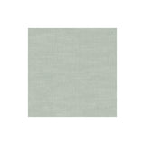 CLARKE AND CLARKE F1239/59.CAC.0 AMALFI SILVER Fabric - Eade's Wallpaper