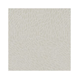 CLARKE AND CLARKE F1246/01.CAC.0 CORALLINO CHAMPAGNE Fabric - Eade's Wallpaper