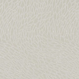 CLARKE AND CLARKE F1246/01.CAC.0 CORALLINO CHAMPAGNE Fabric - Eade's Wallpaper