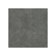CLARKE AND CLARKE F1275/02.CAC.0 MARTELLO ASH Fabric - Eade's Wallpaper