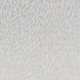 CLARKE AND CLARKE F1278/02.CAC.0 CORALLINO SHEER CHAMPAGNE/GOLD Fabric - Eade's Wallpaper
