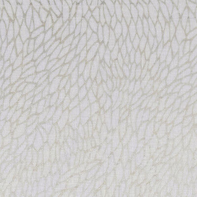 CLARKE AND CLARKE F1278/02.CAC.0 CORALLINO SHEER CHAMPAGNE/GOLD Fabric - Eade's Wallpaper