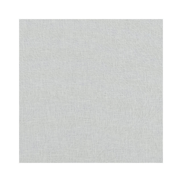 CLARKE AND CLARKE F1278/05.CAC.0 CORALLINO SHEER SILVER Fabric - Eade's Wallpaper