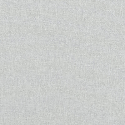 CLARKE AND CLARKE F1278/05.CAC.0 CORALLINO SHEER SILVER Fabric - Eade's Wallpaper