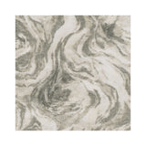 CLARKE AND CLARKE F1280/02.CAC.0 LAVICO SHEER CHAMPAGNE/PEBBLE Fabric - Eade's Wallpaper