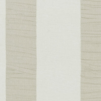 CLARKE AND CLARKE F1281/02.CAC.0 LUCIDO CHAMPAGNE Fabric - Eade's Wallpaper