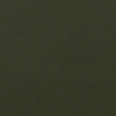 CLARKE AND CLARKE F1295/03.CAC.0 LUCCA CHIVE Fabric - Eade's Wallpaper
