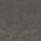 CLARKE AND CLARKE F1296/04.CAC.0 NOLA ESPRESSO Fabric - Eade's Wallpaper