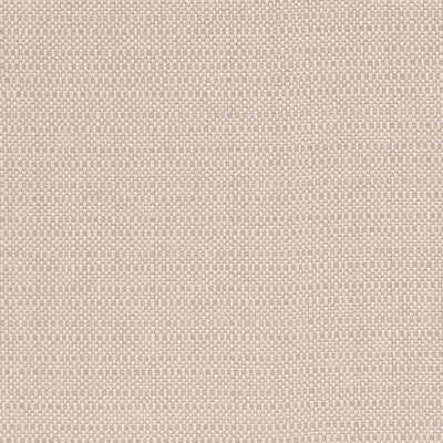 CLARKE AND CLARKE F1299/01.CAC.0 KAUAI BLUSH Fabric - Eade's Wallpaper