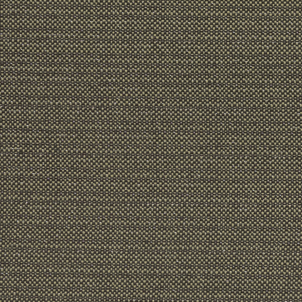 CLARKE AND CLARKE F1299/02.CAC.0 KAUAI CHARCOAL Fabric - Eade's Wallpaper