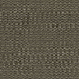 CLARKE AND CLARKE F1299/02.CAC.0 KAUAI CHARCOAL Fabric - Eade's Wallpaper