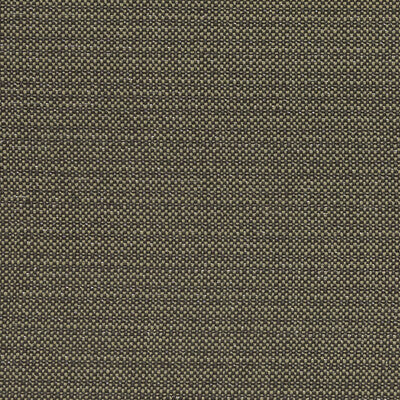CLARKE AND CLARKE F1299/02.CAC.0 KAUAI CHARCOAL Fabric - Eade's Wallpaper