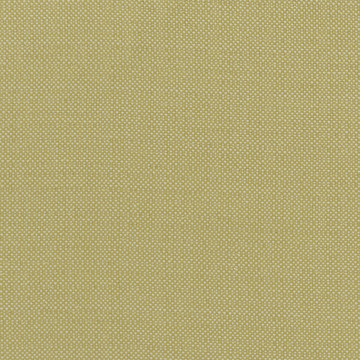 CLARKE AND CLARKE F1299/03.CAC.0 KAUAI CITRON Fabric - Eade's Wallpaper