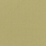 CLARKE AND CLARKE F1299/03.CAC.0 KAUAI CITRON Fabric - Eade's Wallpaper