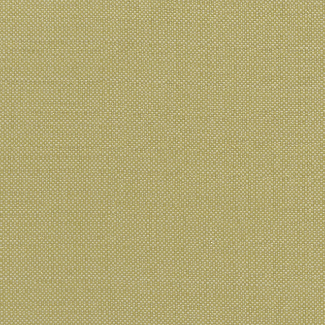 CLARKE AND CLARKE F1299/03.CAC.0 KAUAI CITRON Fabric - Eade's Wallpaper
