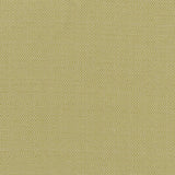CLARKE AND CLARKE F1299/03.CAC.0 KAUAI CITRON Fabric - Eade's Wallpaper