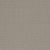 CLARKE AND CLARKE F1299/07.CAC.0 KAUAI MOCHA Fabric - Eade's Wallpaper