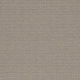 CLARKE AND CLARKE F1299/07.CAC.0 KAUAI MOCHA Fabric - Eade's Wallpaper
