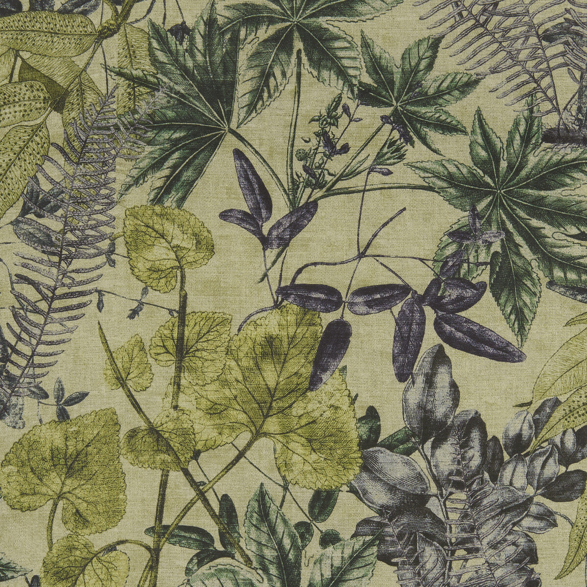 CLARKE AND CLARKE F1301/02.CAC.0 MADAGASCAR FOREST Fabric - Eade's Wallpaper