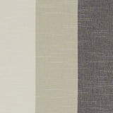 CLARKE AND CLARKE F1308/03.CAC.0 BUCKTON CHARCOAL Fabric - Eade's Wallpaper