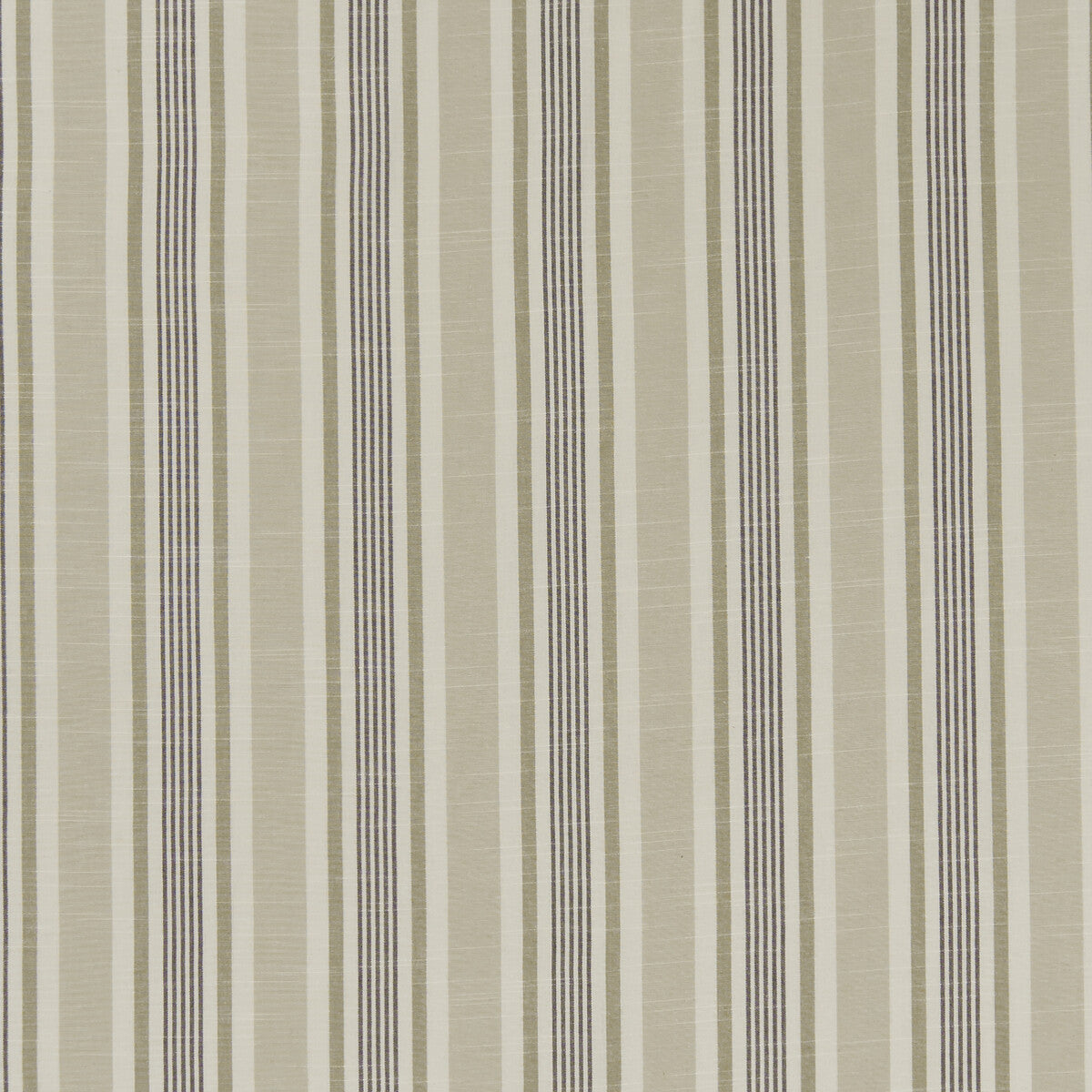 CLARKE AND CLARKE F1310/03.CAC.0 MAPPLETON CHARCOAL Fabric - Eade's Wallpaper