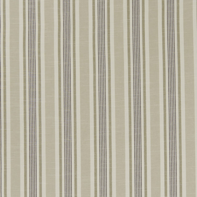 CLARKE AND CLARKE F1310/03.CAC.0 MAPPLETON CHARCOAL Fabric - Eade's Wallpaper