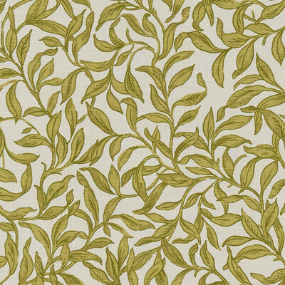 CLARKE AND CLARKE F1313/01.CAC.0 ENTWISTLE CHARTREUSE Fabric - Eade's Wallpaper