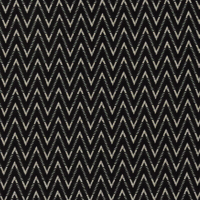CLARKE AND CLARKE F1324/05.CAC.0 ZION NOIR Fabric - Eade's Wallpaper