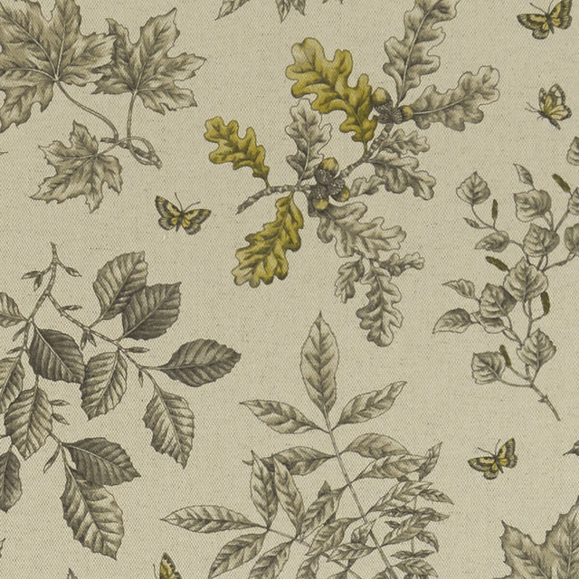 CLARKE AND CLARKE F1329/02.CAC.0 HORTUS CHARCOAL/OCHRE Fabric - Eade's Wallpaper
