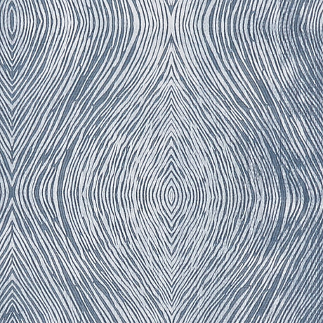 CLARKE AND CLARKE F1336/02.CAC.0 LUSTER DENIM Fabric - Eade's Wallpaper