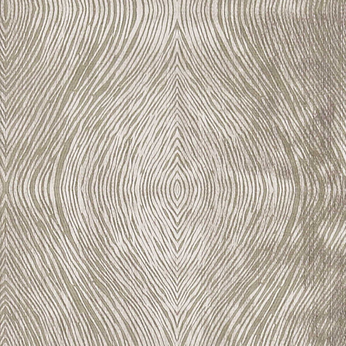 CLARKE AND CLARKE F1336/05.CAC.0 LUSTER MOCHA Fabric - Eade's Wallpaper
